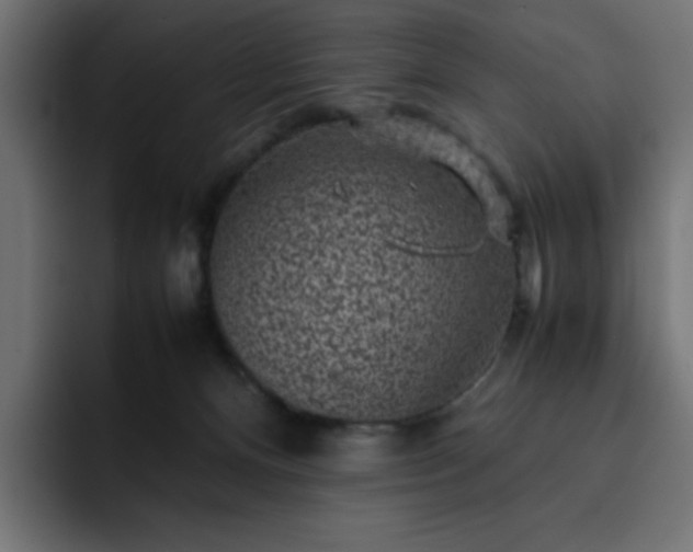 X0000093120128200710031341