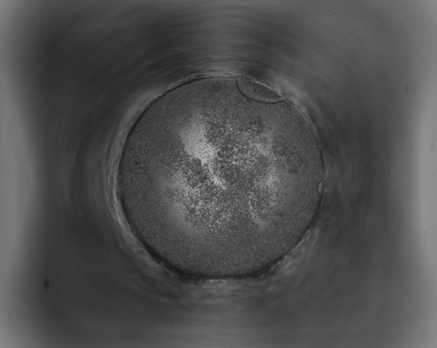 X0000093120145200710031340