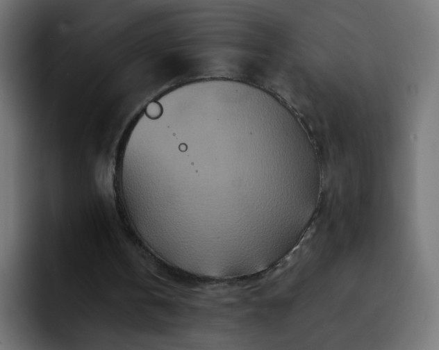 X0000093120146200710031340