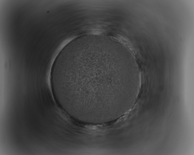 X0000093120147200710031340