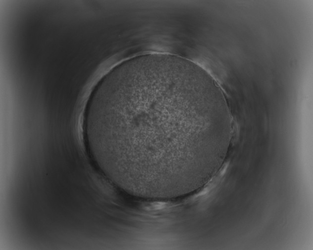 X0000093120151200710031340