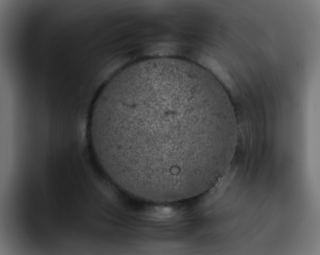 X0000093120159200710031340