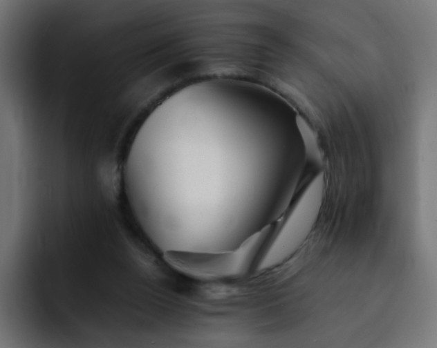 X0000093120160200710031340