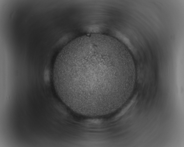 X0000093120161200710031340