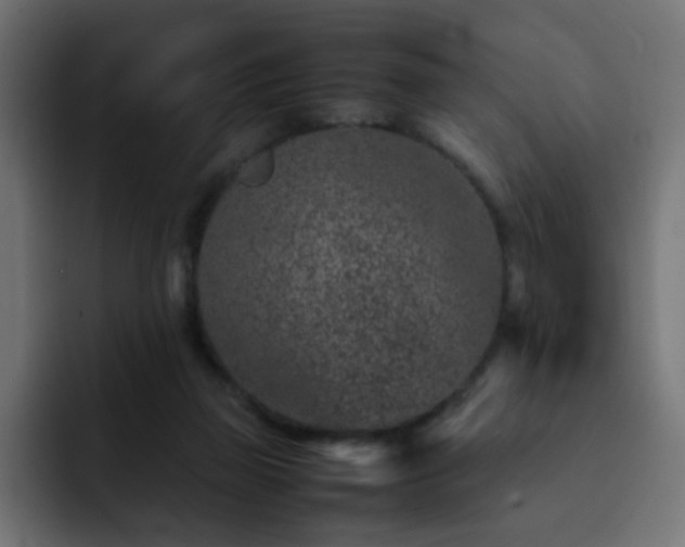 X0000093120165200710031340