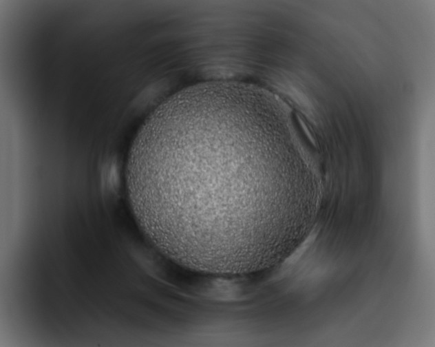 X0000093120166200710031340