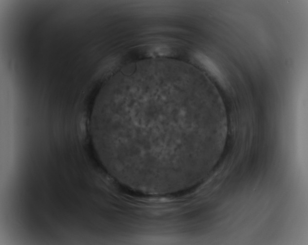 X0000093120169200710031340