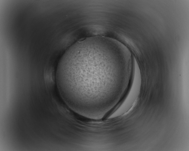 X0000093120170200710031340