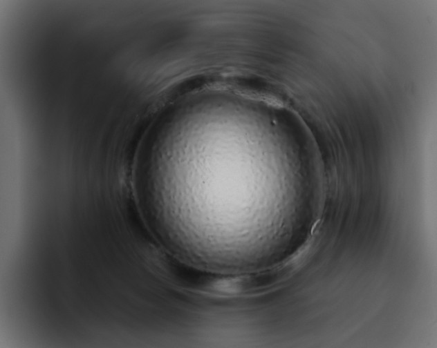 X0000093120178200710031340