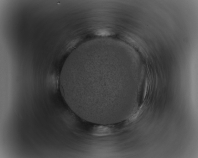 X0000093120180200710031340