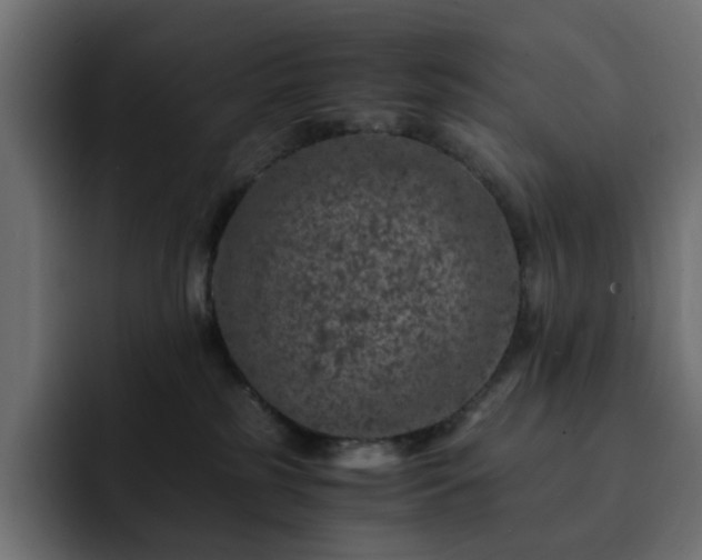 X0000093120185200710031340