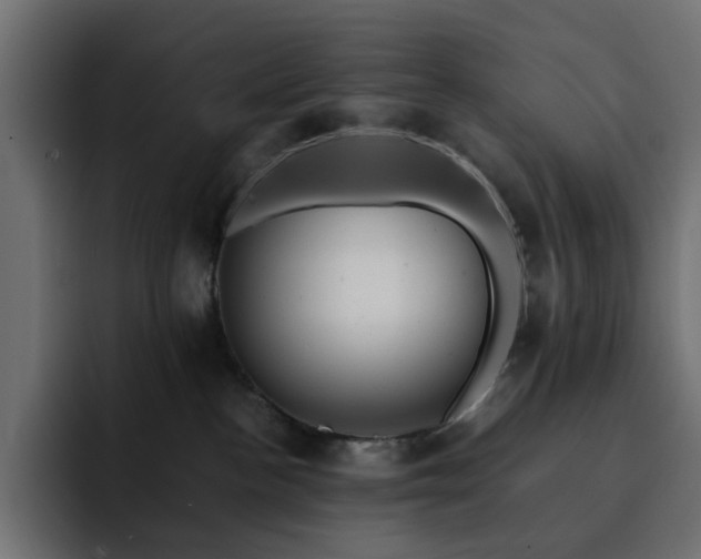 X0000093120188200710031340