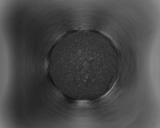 X0000093120192200710031340