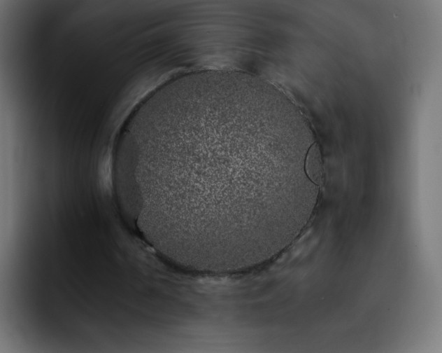 X0000093120194200710031340