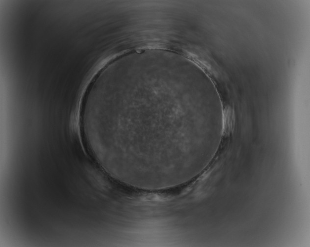 X0000093120195200710031340