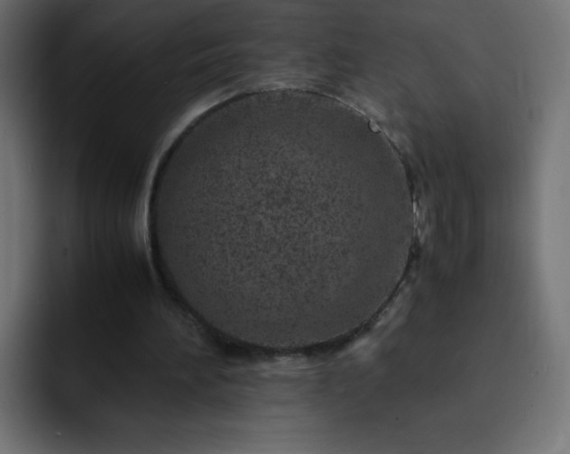 X0000093120196200710031340