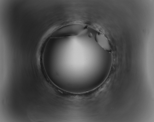 X0000093120197200710031340