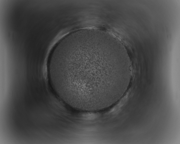 X0000093120198200710031340