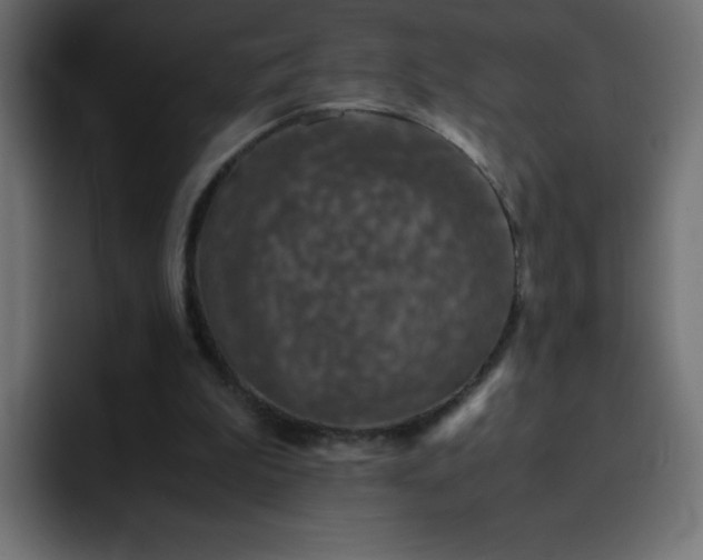 X0000093120199200710031340