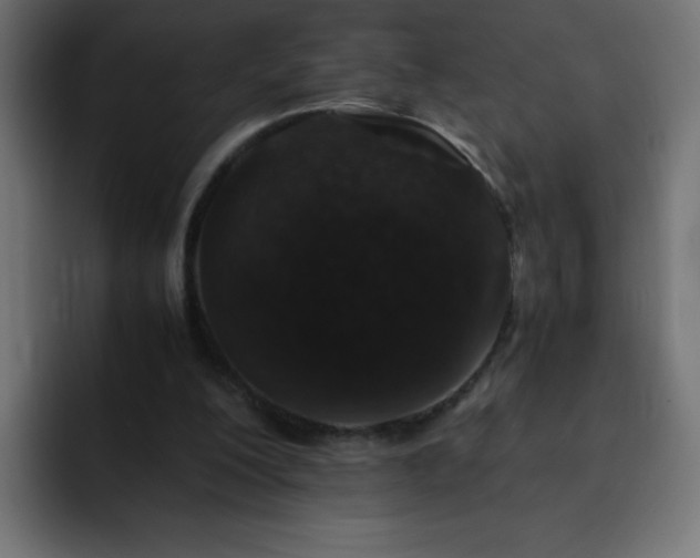 X0000093120200200710031340