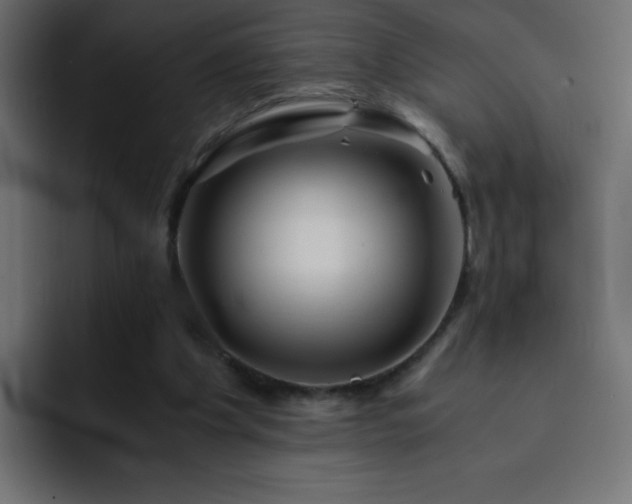 X0000093120201200710031340