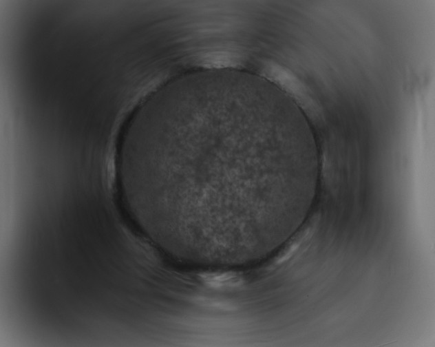 X0000093120202200710031340