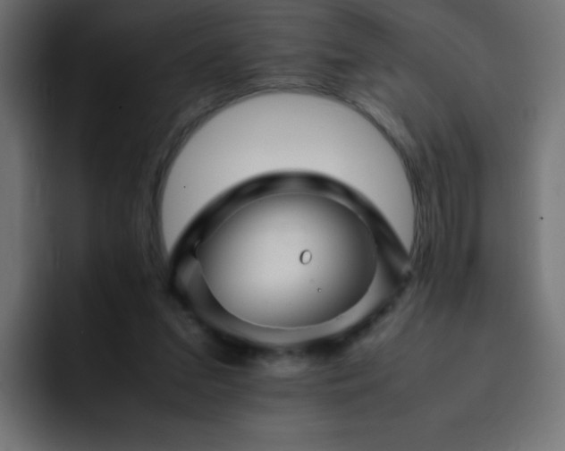 X0000093120207200710031340