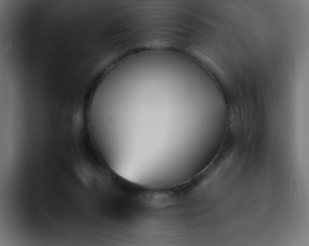 X0000093120208200710031340