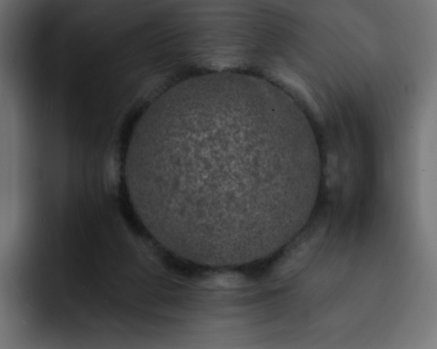 X0000093120210200710031340