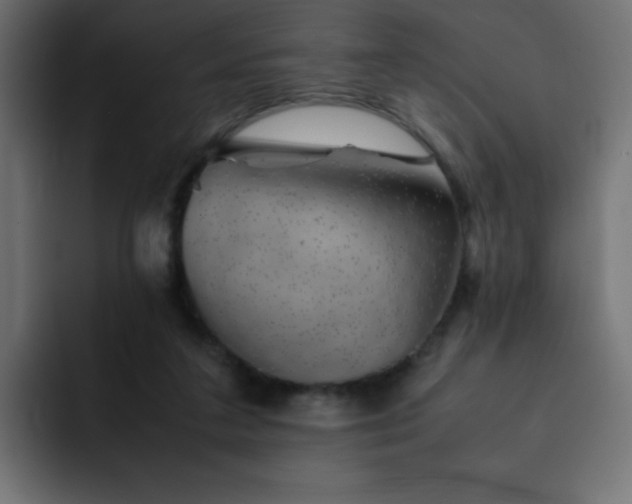 X0000093120211200710031340