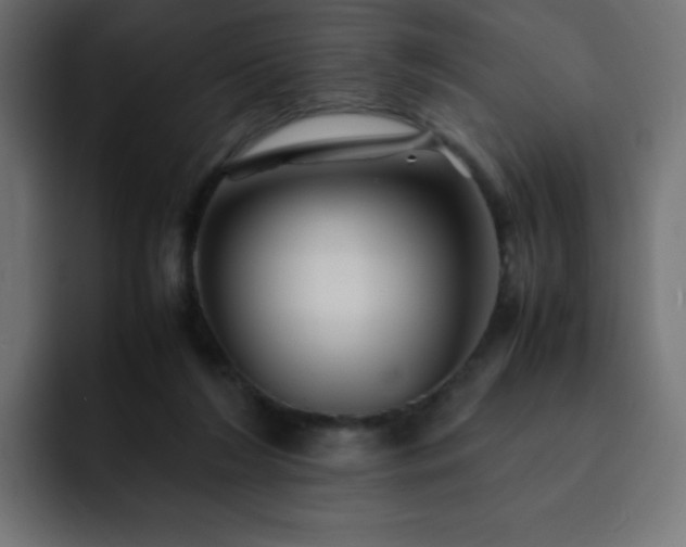 X0000093120212200710031340