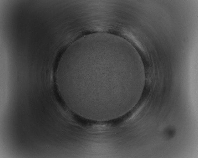 X0000093120213200710031340