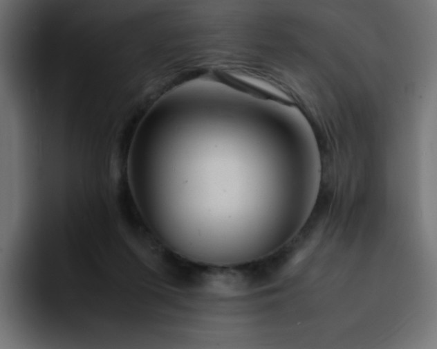 X0000093120215200710031340