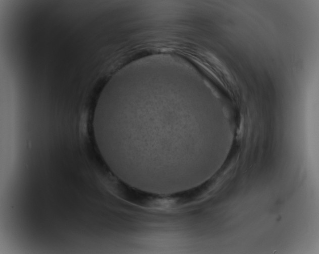 X0000093120217200710031340