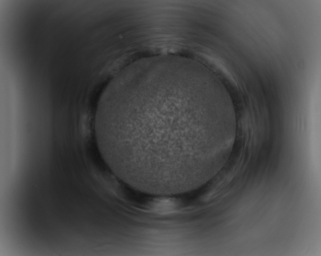 X0000093120218200710031340