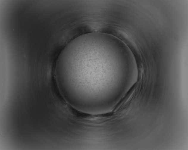 X0000093120221200710031340