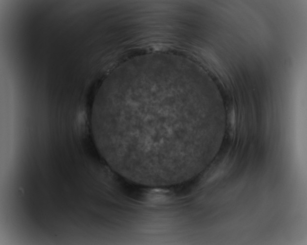 X0000093120222200710031339