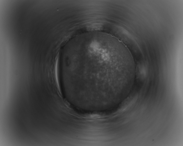 X0000093120224200710031339