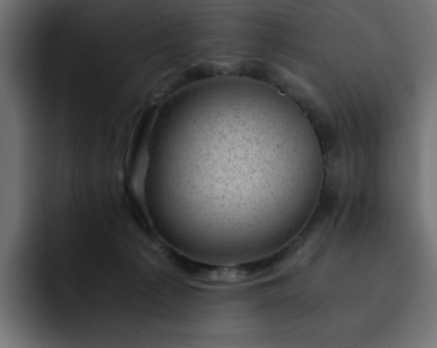 X0000093120225200710031339