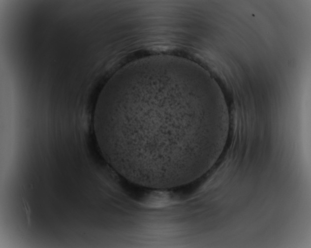 X0000093120227200710031339