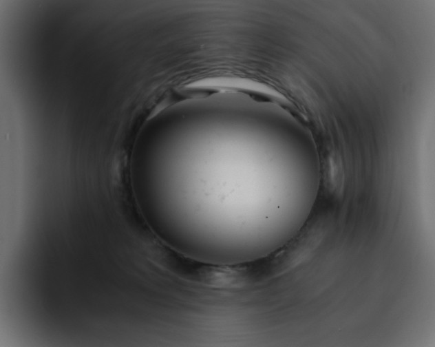 X0000093120229200710031339