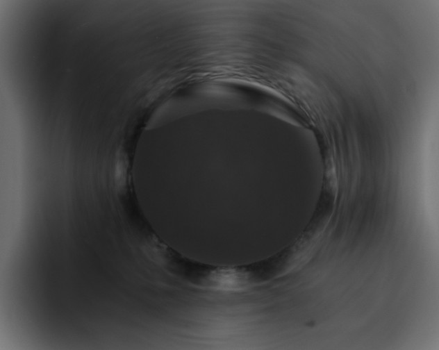 X0000093120231200710031339