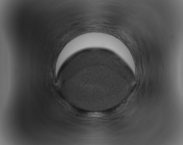 X0000093120233200710031339