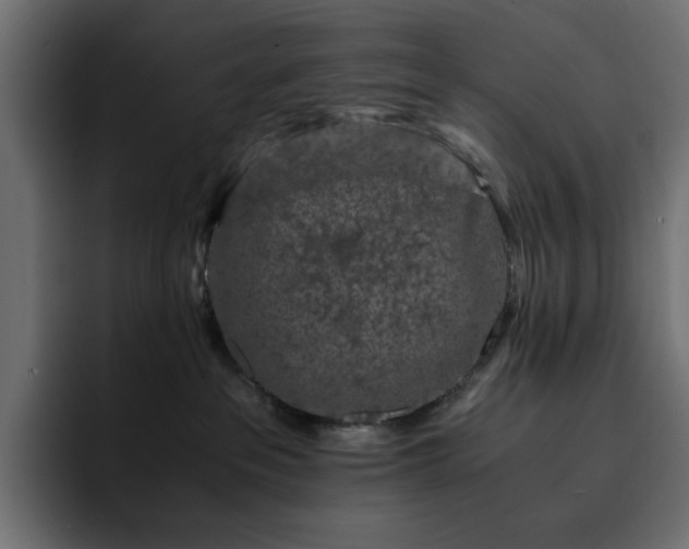 X0000093120237200710031339