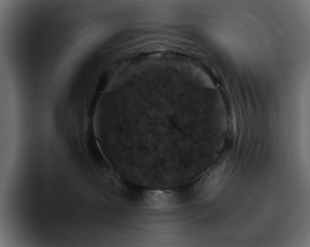 X0000093120239200710031339
