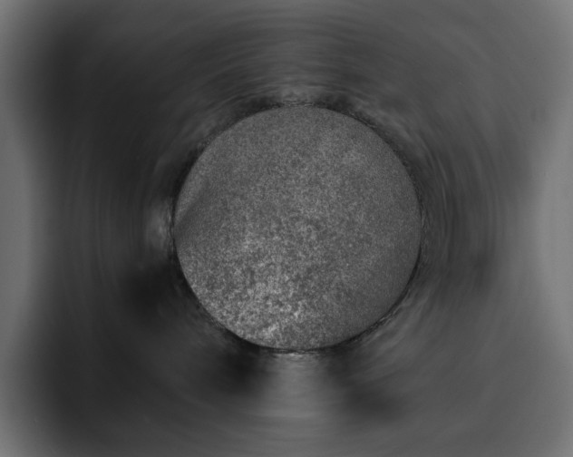 X0000093120240200710031339