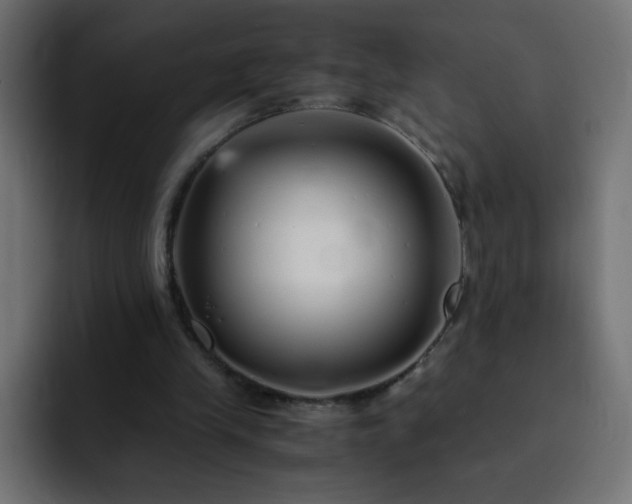 X0000093120245200710031339