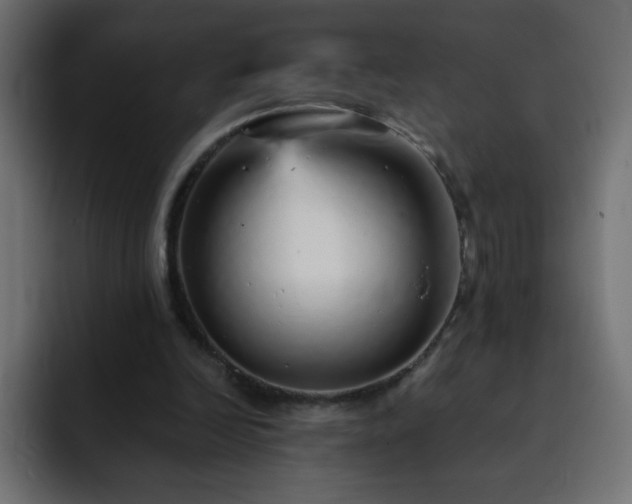 X0000093120246200710031339