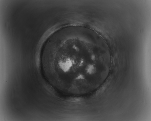 X0000093120247200710031339