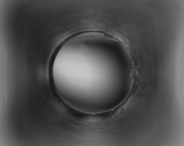 X0000093120248200710031339